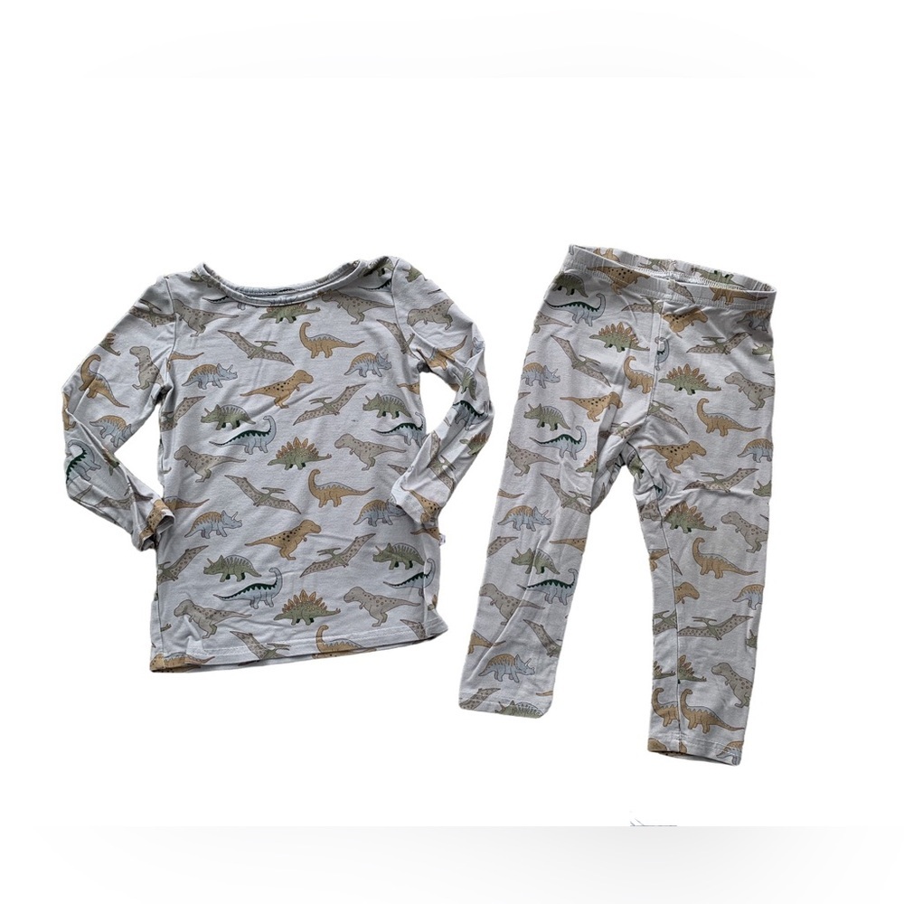 SweetHoney Size 2T Viscose Blend Dinosaur Print Two Piece Pajamas